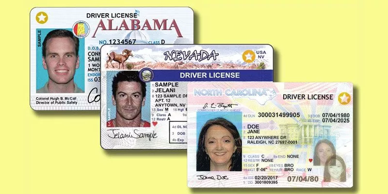 You are currently viewing Buy fake driver’s license online