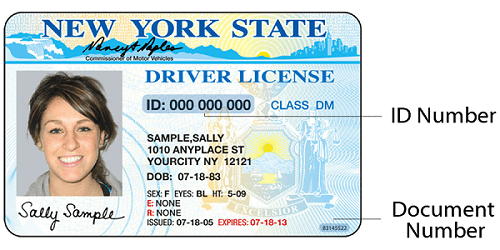 Buy Driving/Driver Licence(se) online